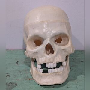 1995 Paper Magic Group Life Like Human Skull Halloween Decor Prop w/Movable Jaw